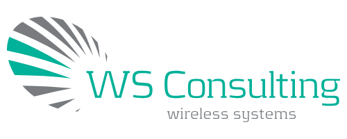 ws consulting logo